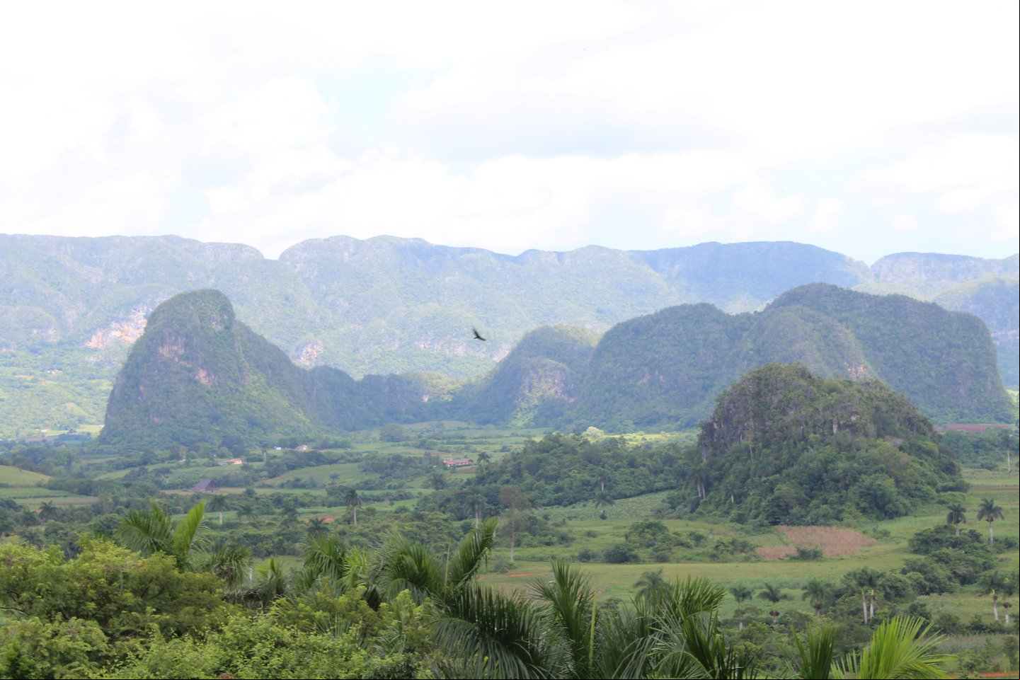 Los mogotes, elevaciones de piedra características del Valle de Viñales Los mogotes, elevaciones de piedra características del Valle de Viñales