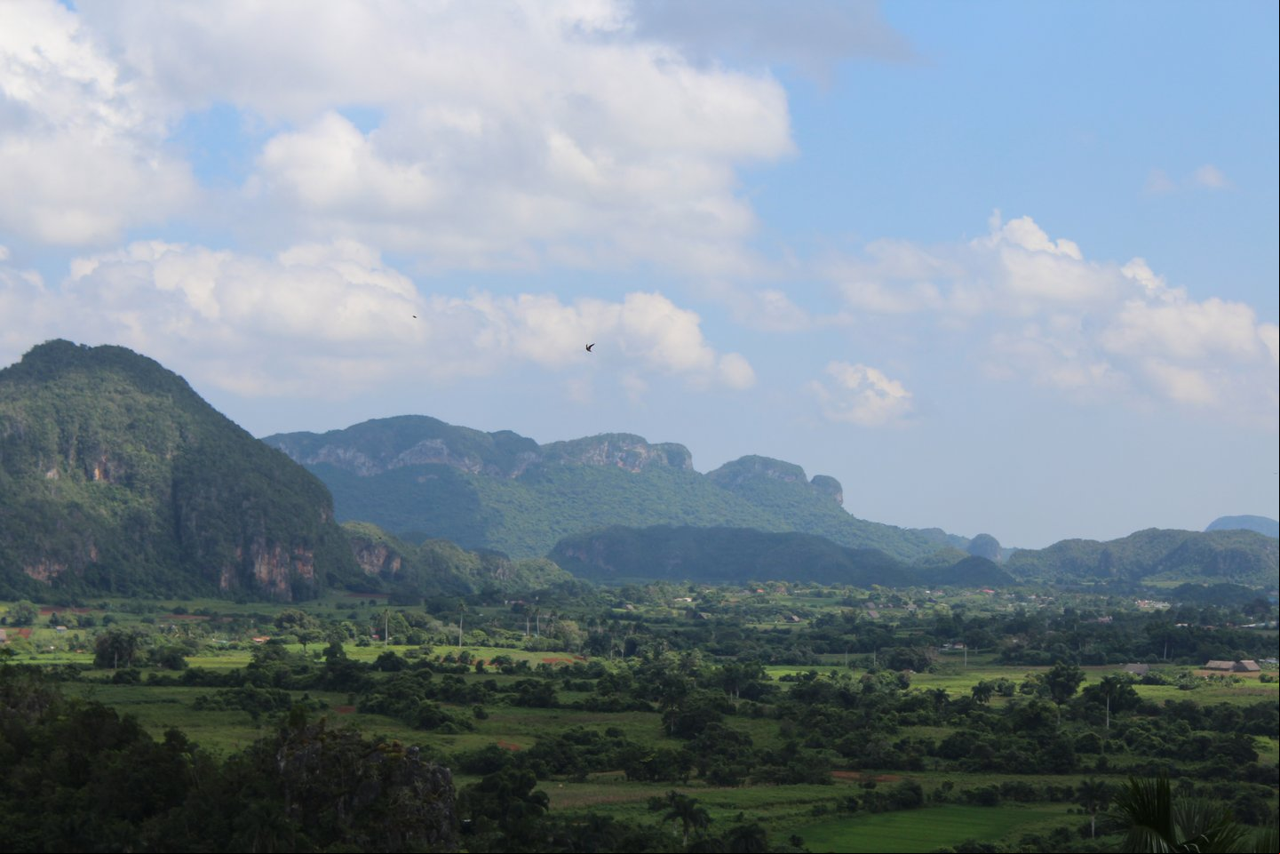 El Valle de Viñales, uno de los paisajes más maravillosos y esplendorosos de Cuba Paisaje del Valle de Viñales en Cuba