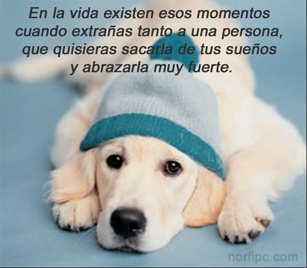 Imagen la amistad por siempre