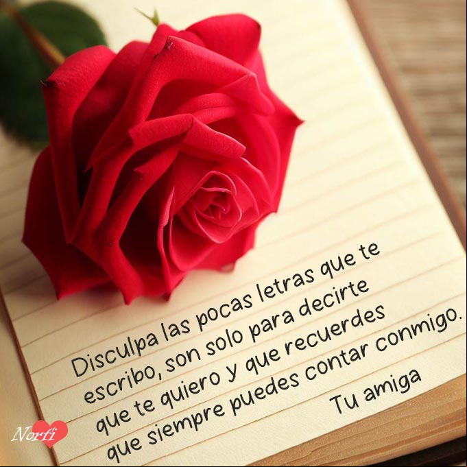 Disculpa las pocas letras que te escribo, son solo para decirte que te quiero y que recuerdes que siempre puedes contar conmigo Nota con letras y una rosa