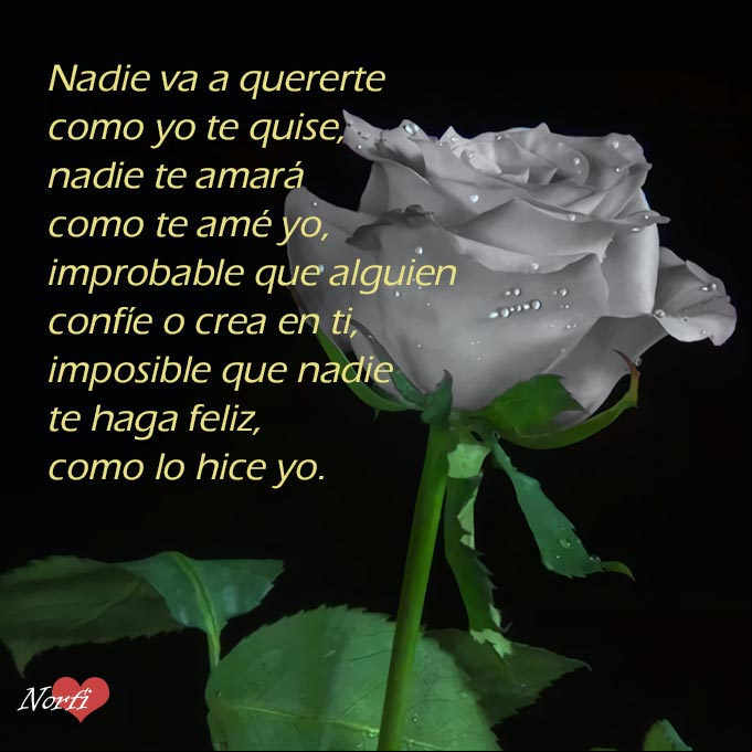 Nadie va a quererte como yo te quise, nadie te amará como te amé yo, improbable que alguien confíe o crea en ti, imposible que nadie te haga feliz, como lo hice yo Rosa gris con fondo negro para acompañar un poema de decepción
