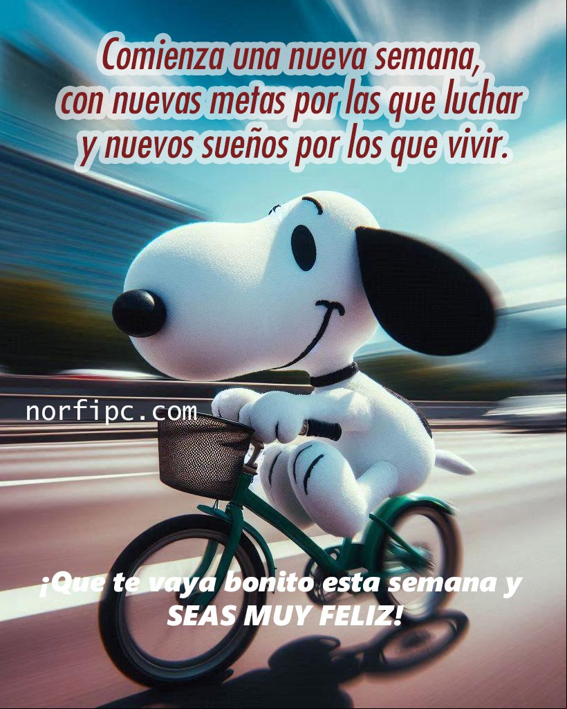 Es lunes, comienza una nueva semana, una nueva aventura con nuevas metas por las que luchar y nuevos sueños por los que vivir. ¡Que te vaya bonito esta semana y seas muy feliz! Snoopie en bicicleta por la ciudad