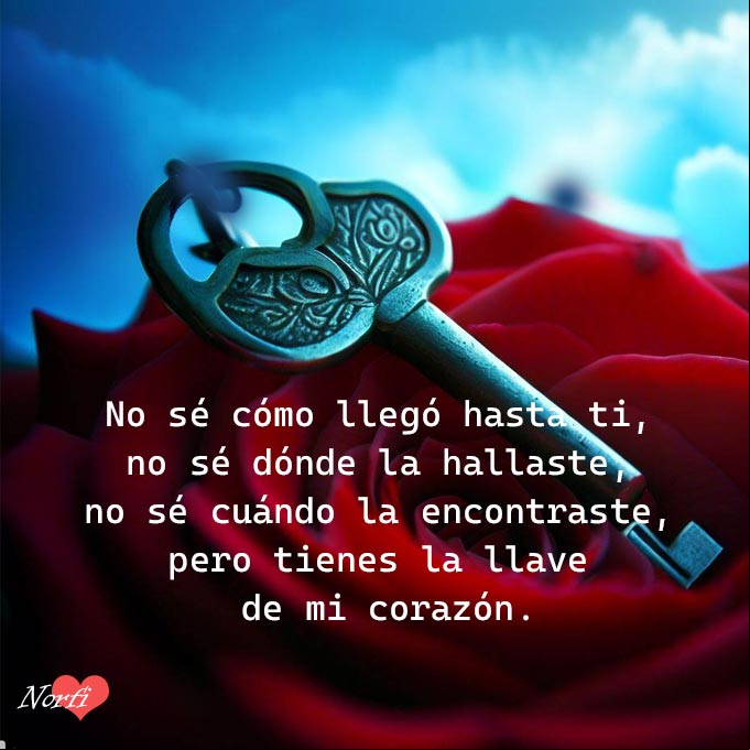 No sé cómo llego a ti, no sé dónde la hallaste, no sé cuándo la encontraste, pero tienes la llave de mi corazón Rosa roja con llave encima