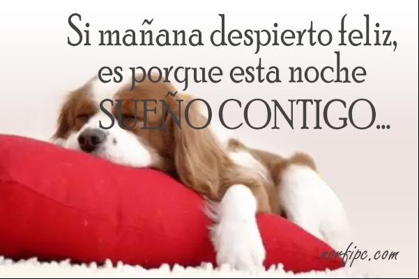 Si mañana despierto feliz, es porque esta noche sueño contigo... #ConfesionesAmor Si despierto feliz