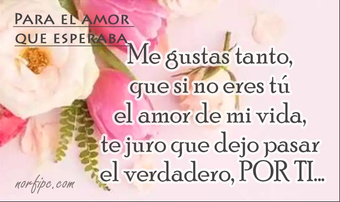 Me gustas tanto, que si no eres tú el amor de mi vida, te juro que dejo pasar el verdadero, por ti... #ConfesionesAmor Frases para el amor que esperaba y al fin encontré