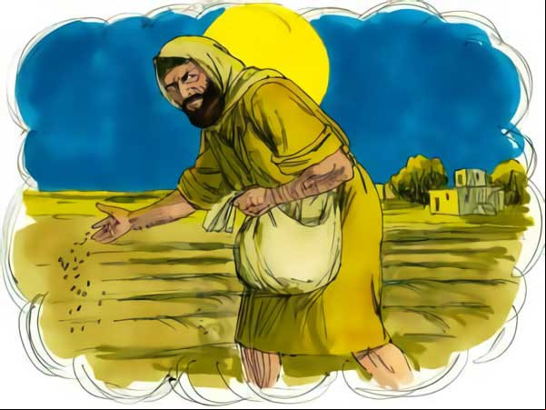 Jesús y la Parábola del Trigo y la Cizaña Jesús y la Parábola del Trigo y la Cizaña