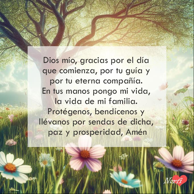 Dios mío, gracias por el día que comienza, por tu guía y por tu eterna compañía. En tus manos pongo mi vida, la vida de mi familia. Protégenos, bendícenos y llévanos por sendas de dicha, paz y prosperidad, Amén Flores silvestres de varios colores bajo un arbol al amanecer