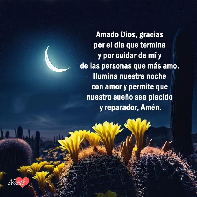 Amado Dios, gracias por el día que termina y por cuidar de mí y de las personas que más amo. Ilumina nuestra noche con amor y permite que nuestro sueño sea placido y reparador, Amén. Noche de luna en el desierto con cactos de flores amarillas nocturnas y una plegaria de gracias a Dios