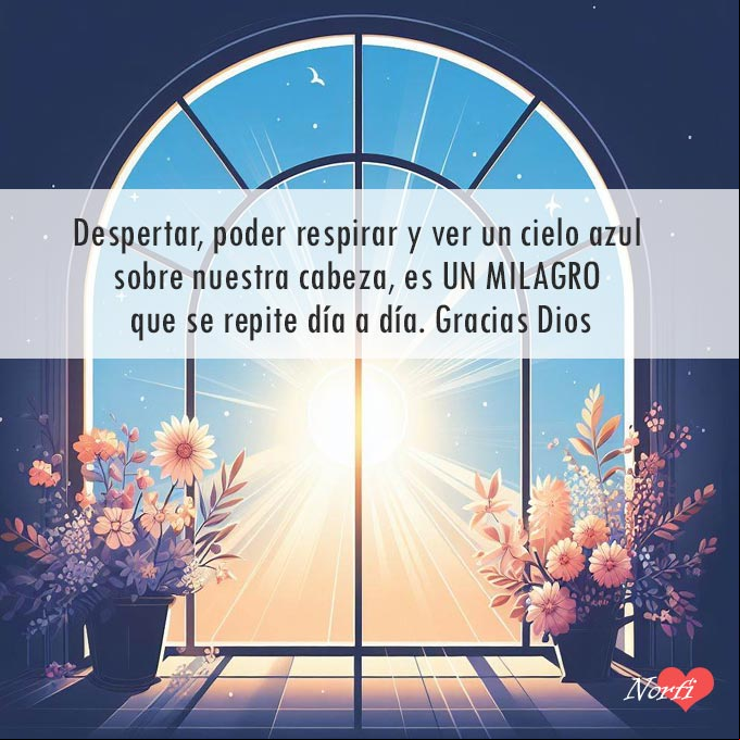 Despertar, poder respirar y ver un cielo azul sobre nuestra cabeza, es un milagro que se repite día a día. Gracias Dios Rayos del sol entrando por ventana con flores, fondo cielo azul