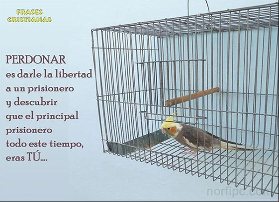 Perdonar es darle la libertad a un prisionero y descubrir que el principal prisionero todo este tiempo, eras tú Pensamientos cristianos de fe y perdon