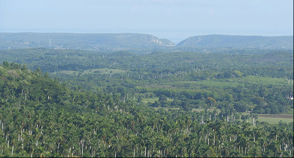 Foto del norte de la provincia Mayabeque tomada desde el mirador de Sierra Camarones Foto del norte de la provincia Mayabeque tomada desde el mirador de Sierra Camarones