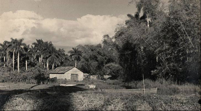 Foto del antiguo Embarcadero en el Rio Mayabeque Foto del antiguo Embarcadero en el Rio Mayabeque