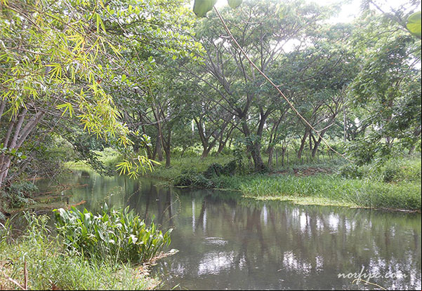 El Rio Mayabeque actualmente donde antes estaba el antiguo Embarcadero El Rio Mayabeque actualmente donde antes estaba el antiguo Embarcadero