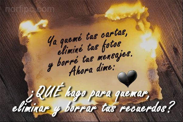 Ya quemé tus cartas, eliminé tus fotos y borré todos tus mensajes. Ahora dime: ¿Que hago para quemar, eliminar y borrar tus recuerdos? Frase sobre las decepciones, desilusiones y no poder olvidar