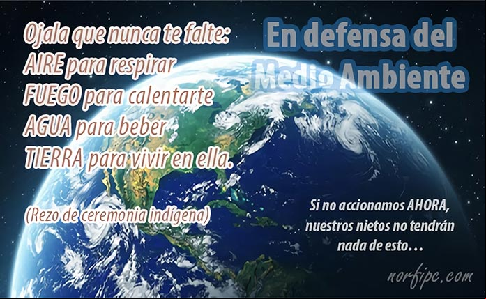 Frases en defensa del Medio Ambiente y la vida en la Tierra