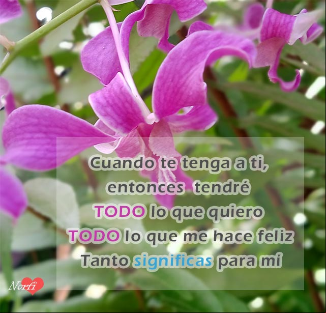 Cuando te tenga a ti, entonces lo tendré todo. Tanto significas para mí Cuando te tenga a ti, entonces lo tendré todo. Tanto significas para mí