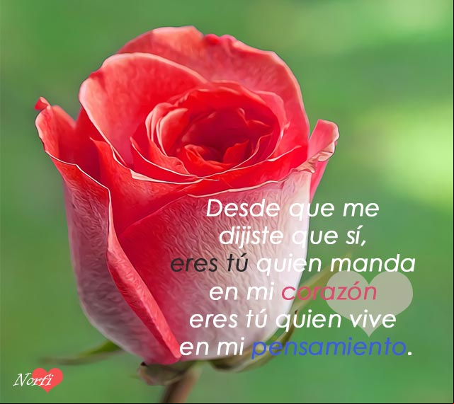 Desde que me dijiste que sí, eres tú quien manda en mi corazón, eres tú quien vive en mi pensamiento. #MensajesDeAmor Mensaje de amor: Desde que me dijiste que sí, eres tú quien manda en mi corazón, eres tú quien vive en mi pensamiento