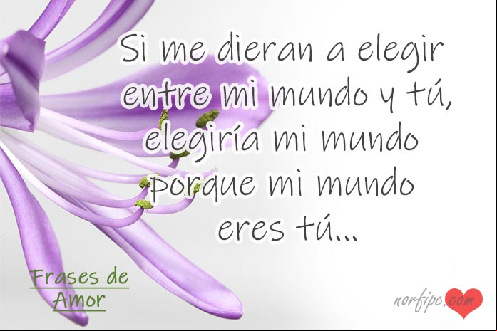 Frases de amor y amistad enviadas por los lectores