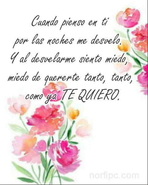 Cuando pienso en ti por las noches me desvelo. Y al desvelarme siento miedo, miedo de quererte tanto, tanto como ya te quiero. Miedo de quererte tanto