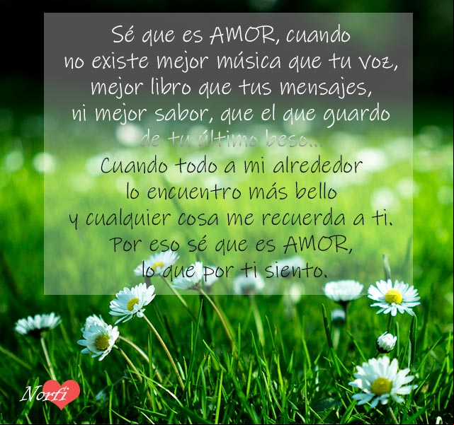 Sé que es AMOR, cuando no existe mejor música que tu voz, mejor libro que tus mensajes, ni mejor sabor, que el que guardo de tu último beso Sé que es AMOR