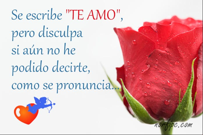No puedo estar sin ti, porque te amo Imagen para enamorar: No puedo estar sin ti, porque te amo