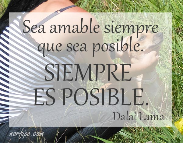 Sea amable siempre que sea posible. SIEMPRE ES POSIBLE. Frase de #DalaiLama Sea amable siempre. #DalaiLama