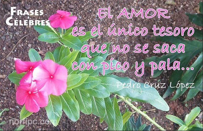 Imágenes con frases célebres y ciertas sobre el amor