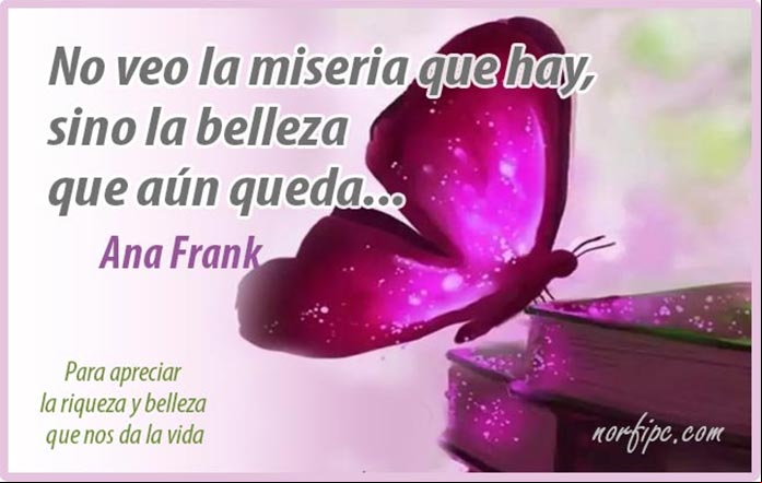 No veo la miseria que hay, sino la belleza que aún queda