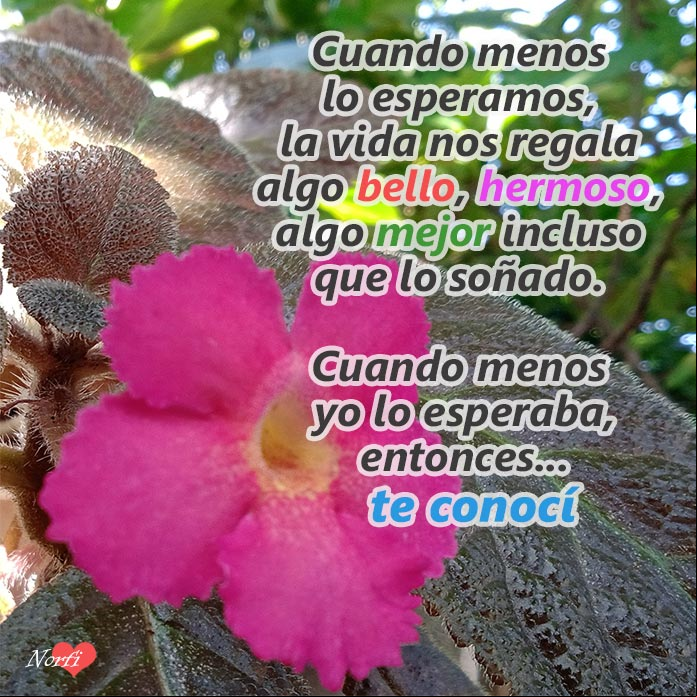 Cuando menos lo esperaba, te conocí. Poema para un amor inesperado