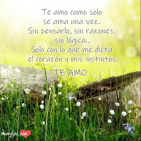 Te amo como solo se ama una vez... Sin pensarlo, sin razones, sin lógica, solo con lo que me dicta el corazón y mis instintos. #MensajesAmor Te amo sin pensarlo