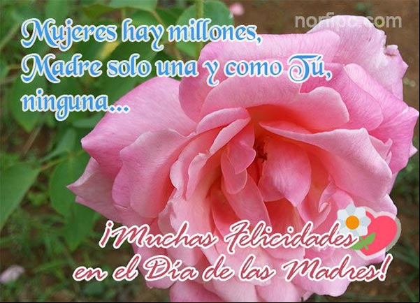 Mujeres hay millones, MADRE solo una y como Tú, ninguna... ¡Muchas Felicidades en el Día de las Madres! Una postal con una frase de amor para mi Mamá