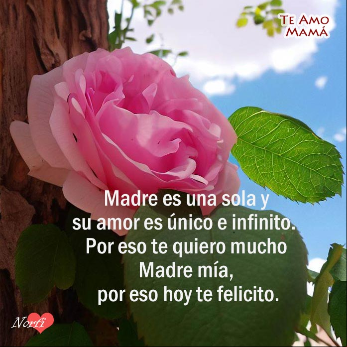 Rosa con paisaje con verso sobre el amor de madre