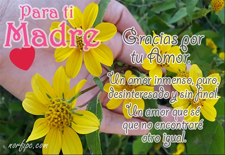 Todas las páginas para homenajear y felicitar a la Madre