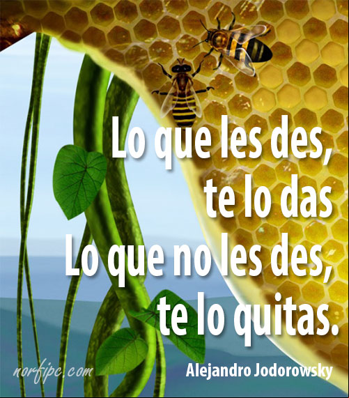 Lo que les des, te lo das. Lo que no les des, te lo quitas. #Pensamiento de Alejandro Jodorowsky Lo que les des, te lo das. Lo que no les des, te lo quitas