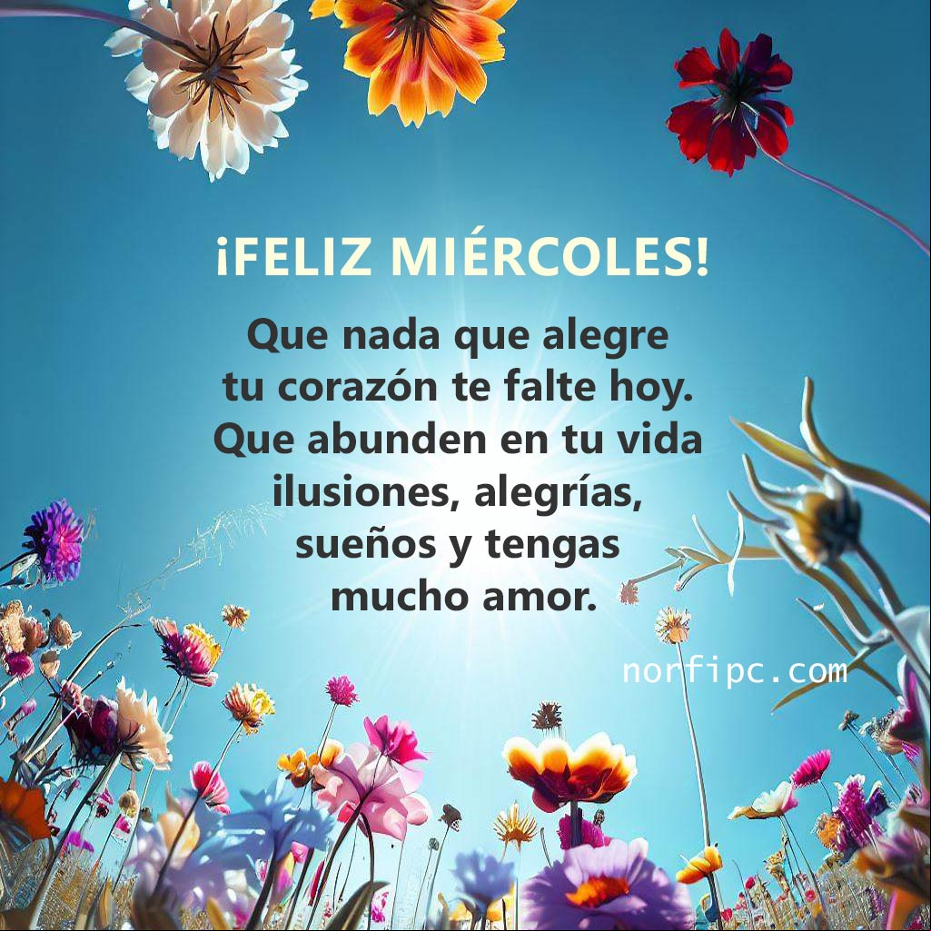 Que nada que alegre tu corazón te falte hoy. Que abunden en tu vida las ilusiones, las alegrías, los sueños y sobe todo, mucho amor Flores al amanecer