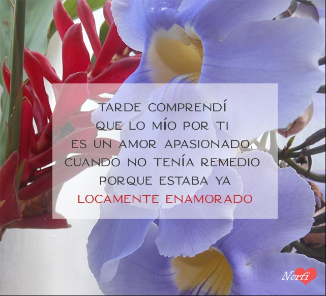 Tarde comprendí que lo mío por ti es un amor apasionado, cuando no tenía remedio, porque estaba ya locamente enamorado Tarde comprendí que lo mío por ti es un amor apasionado, cuando no tenía remedio, porque estaba ya locamente enamorado