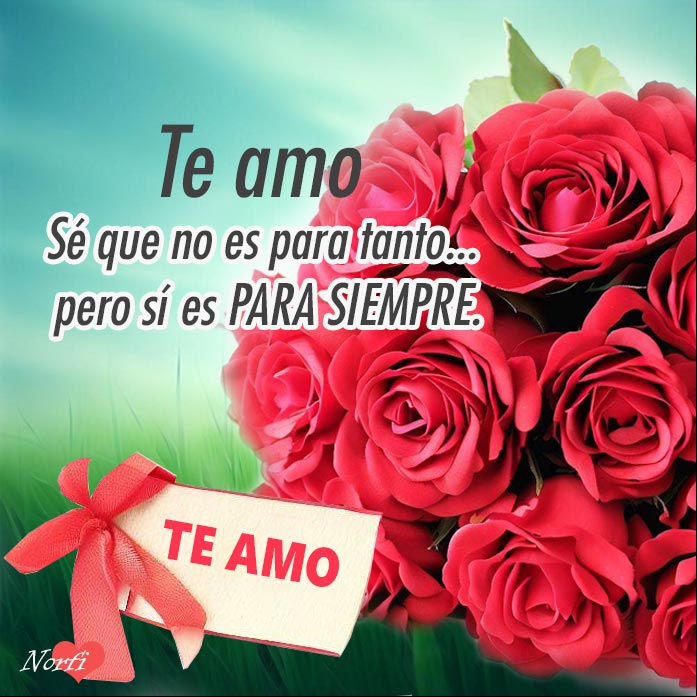Ramo de rosas rojas con una nota de amor