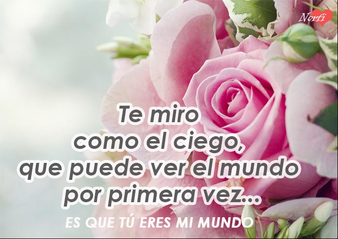 Tú eres mi mundo
