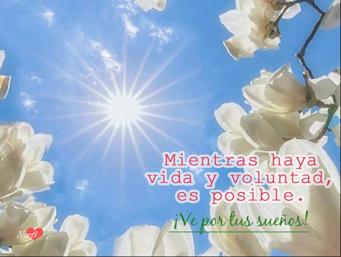 Mientras haya vida y voluntad, es posible. ¡Ve por tus sueños y hazlos realidad!
