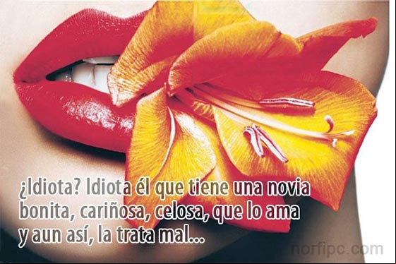 ¿Idiota? Idiota él que tiene una novia bonita, cariñosa, celosa, que lo ama y aun así, la trata mal Frases de como piensan las mujeres