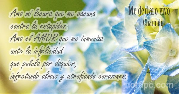 Amo el amor que me inmuniza ante la infelicidad. De un poema de Chamalú