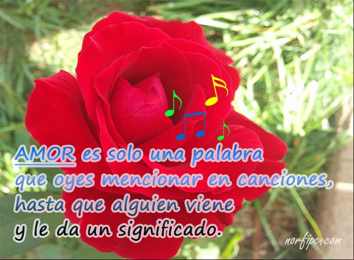 Amor, la palabra más linda y hermosa del mundo