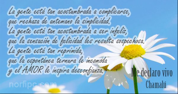 La espontánea ternura le incomoda y el amor le inspira desconfianza. De un poema de Chamalú