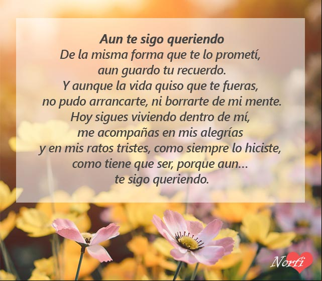 Aun te sigo queriendo. Poema para un ser querido que murió Aun te sigo queriendo