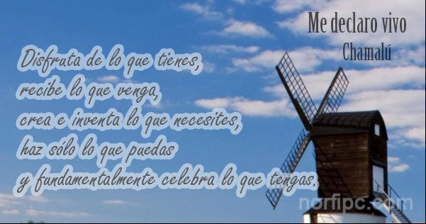 Frase del poema 'Me declaro vivo', de Chamalú 