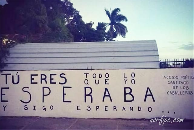 Tú eres todo lo que yo esperaba y sigo esperando
