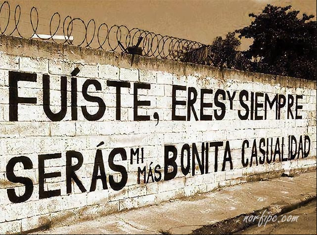 Fuiste, eres y siempre serás mi más bonita casualidad