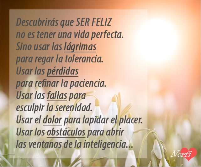 Ser feliz no es tener una vida perfecta, sino usar las lágrimas para regar la tolerancia... del poema Ser Feliz Del poema Ser Feliz, sobre tener una vida perfecta