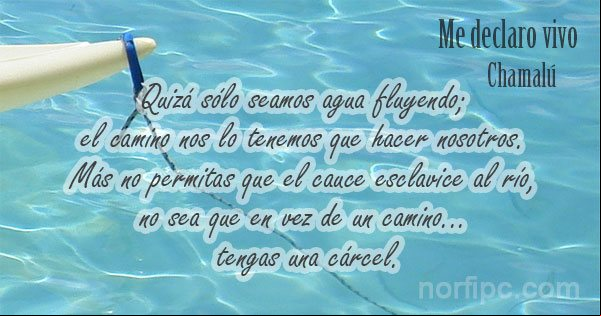 No permitas que el cauce esclavice al río. De un poema de Chamalú