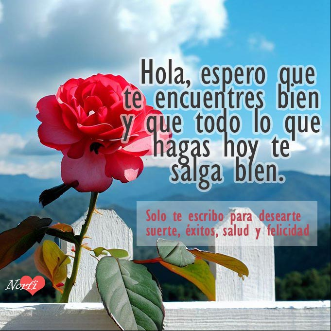 Rosa roja en una cerca blanca bajo el sol, de fondo paisaje de montañas